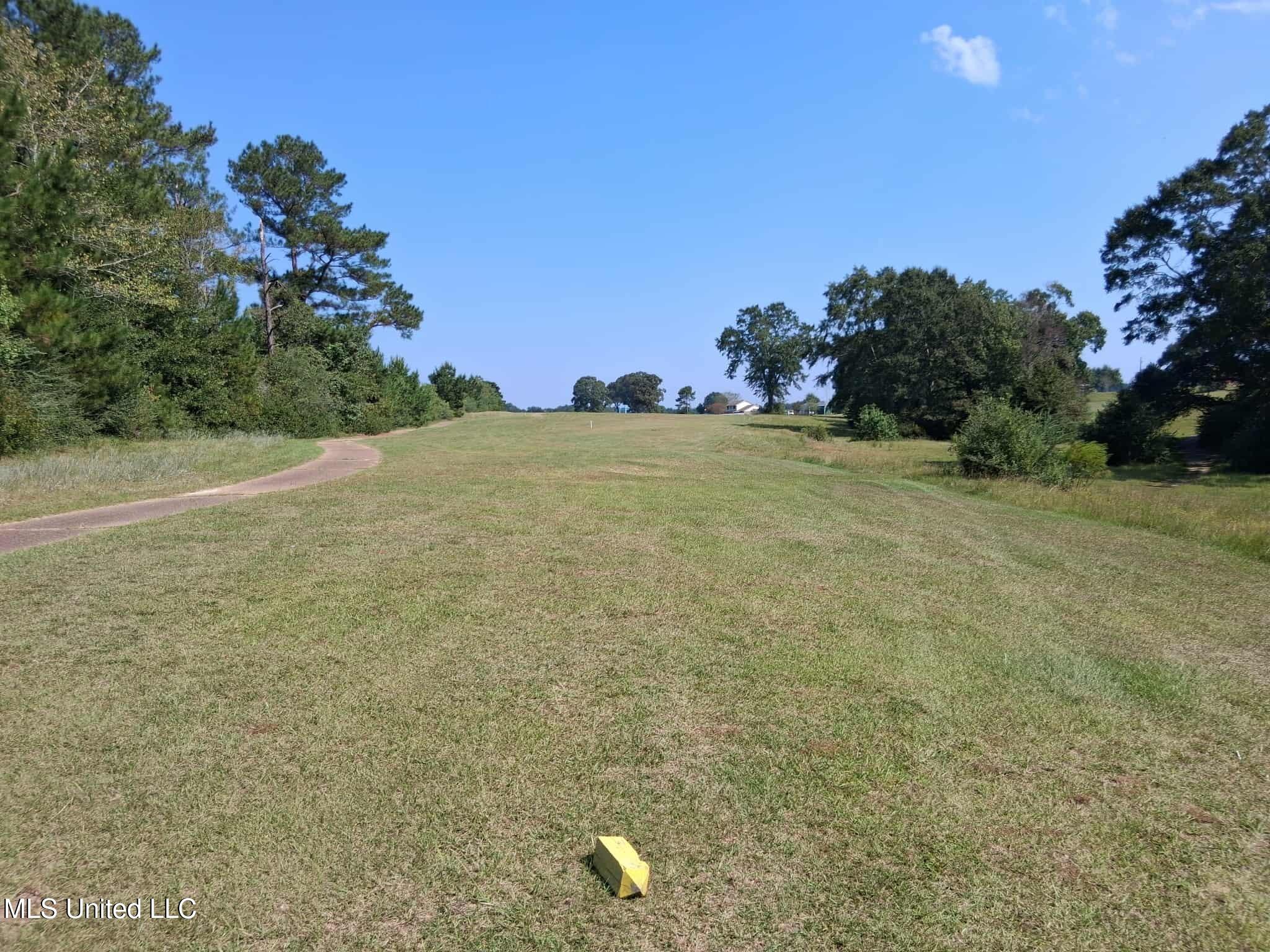 45 Ladner Drive Lumberton, MS 39455 - Photo 30 of 33 479b0997-bb0d-4444-801c-29c33b000c94