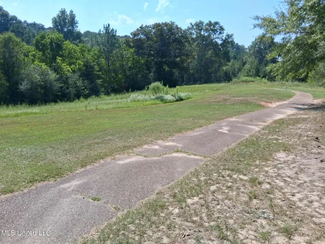 $220,000 | 45 Ladner Drive, Lumberton, MS 39455