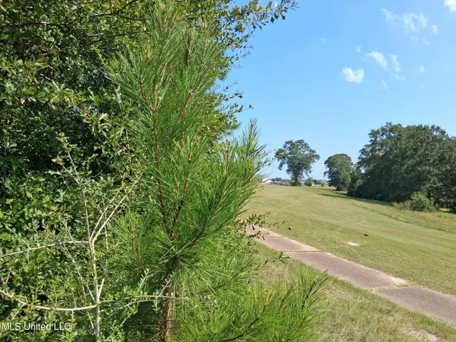 $220,000 | 45 Ladner Drive, Lumberton, MS 39455