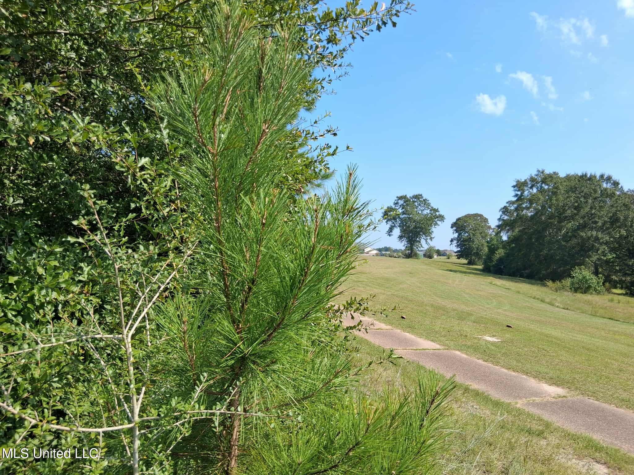 45 Ladner Drive Lumberton, MS 39455 - Photo 33 of 33 a33b3d7f-52bc-4d1e-a80a-d9fae43b058c