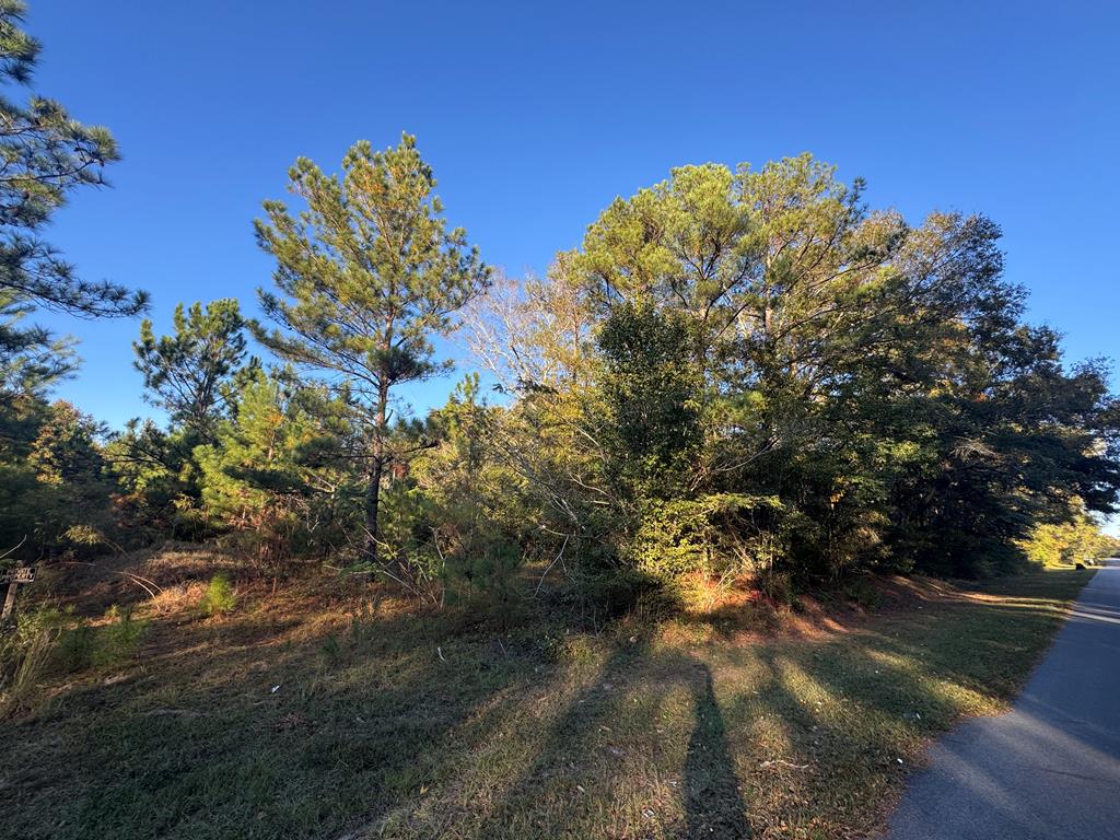 0 East Wilson Street Dothan, AL 36303 - Photo 1 of 4