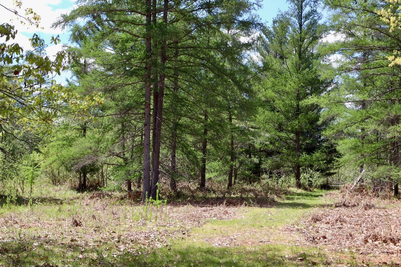 La Grant Road Alger, MI 48610 - Photo 22 of 46 017