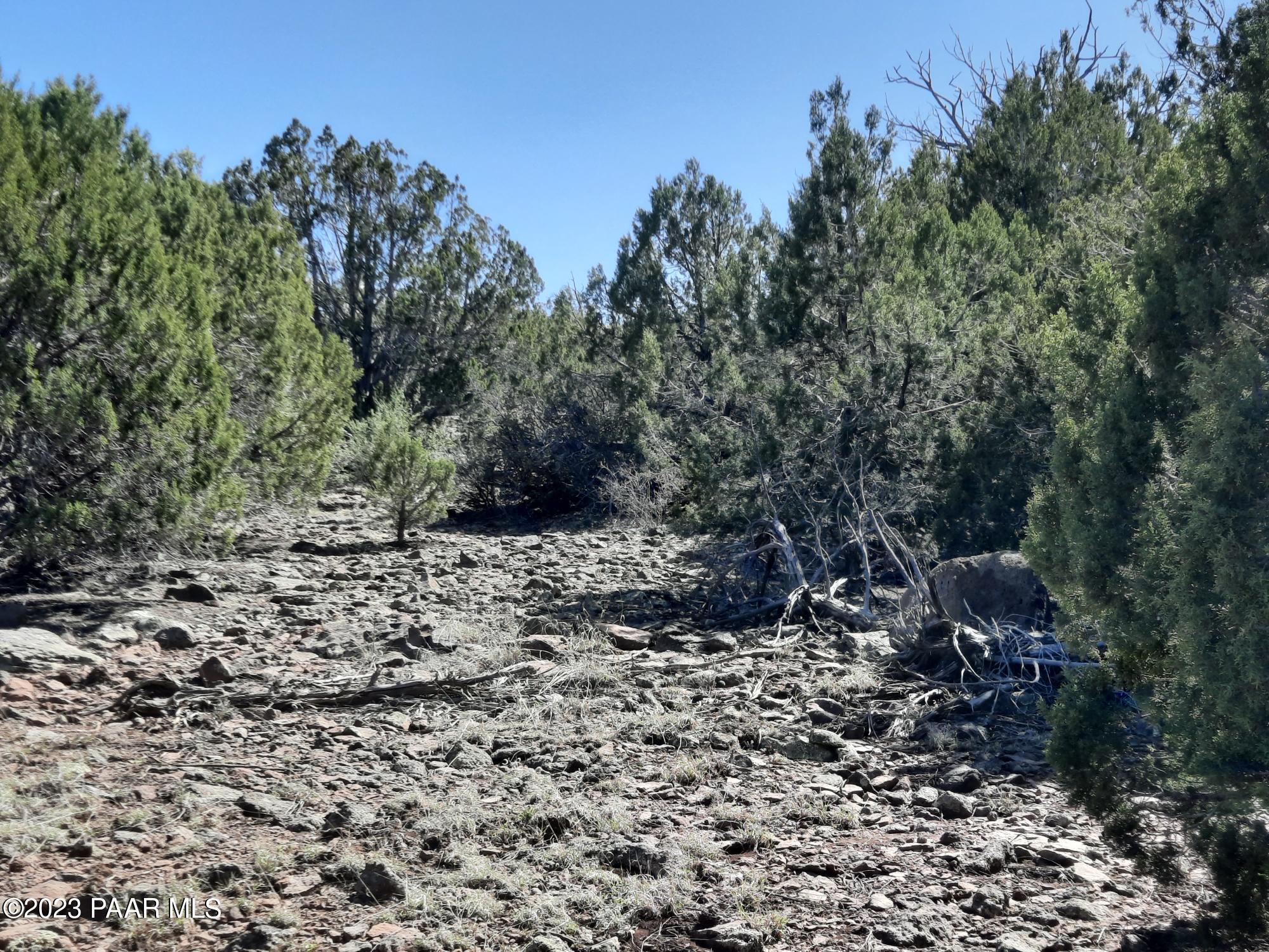 Lot 478 North Edge Ridge Road Seligman, AZ 86337 - Photo 8 of 11 20230426_151002