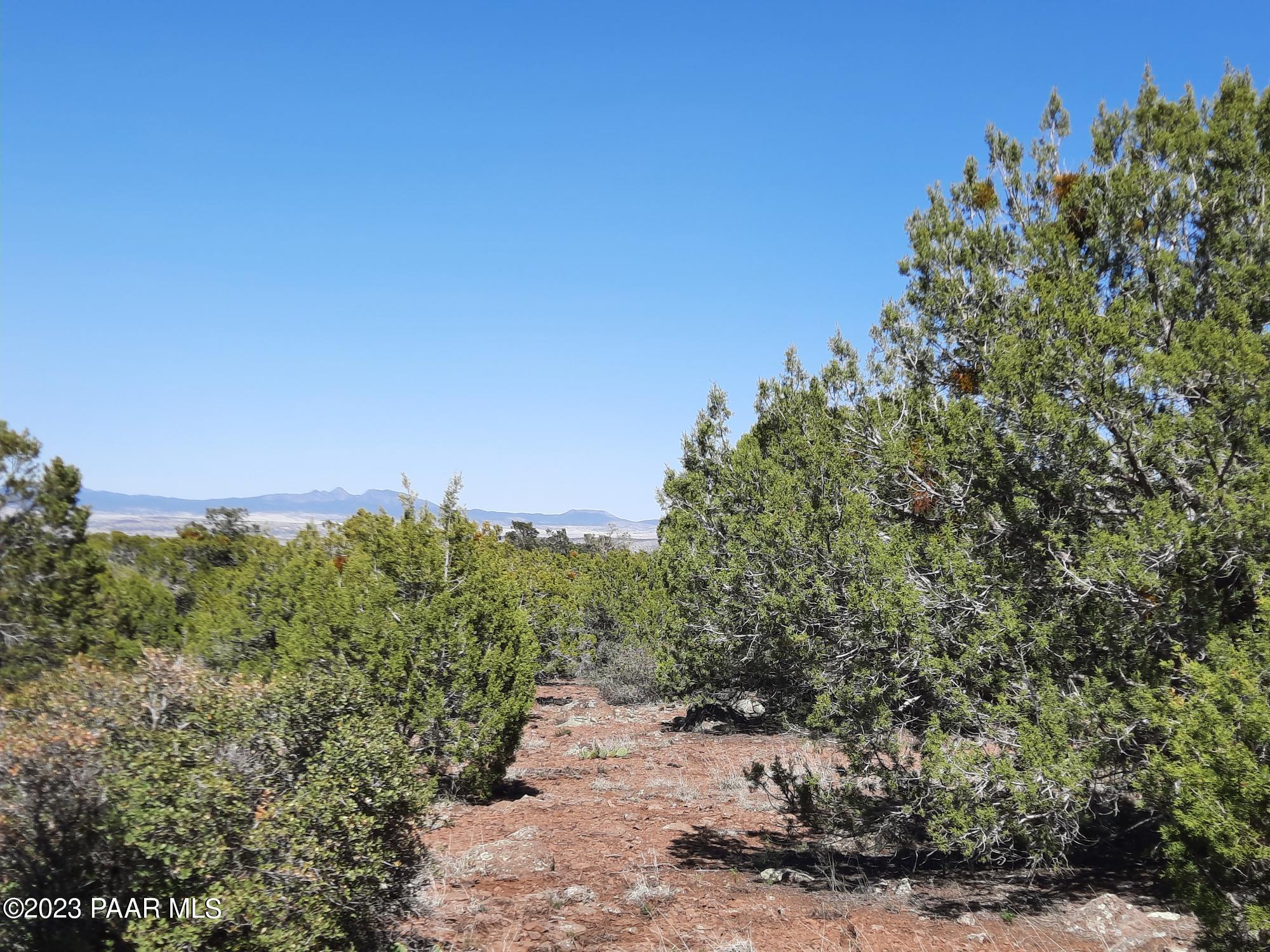 Lot 478 North Edge Ridge Road Seligman, AZ 86337 - Photo 9 of 11 20230426_151027