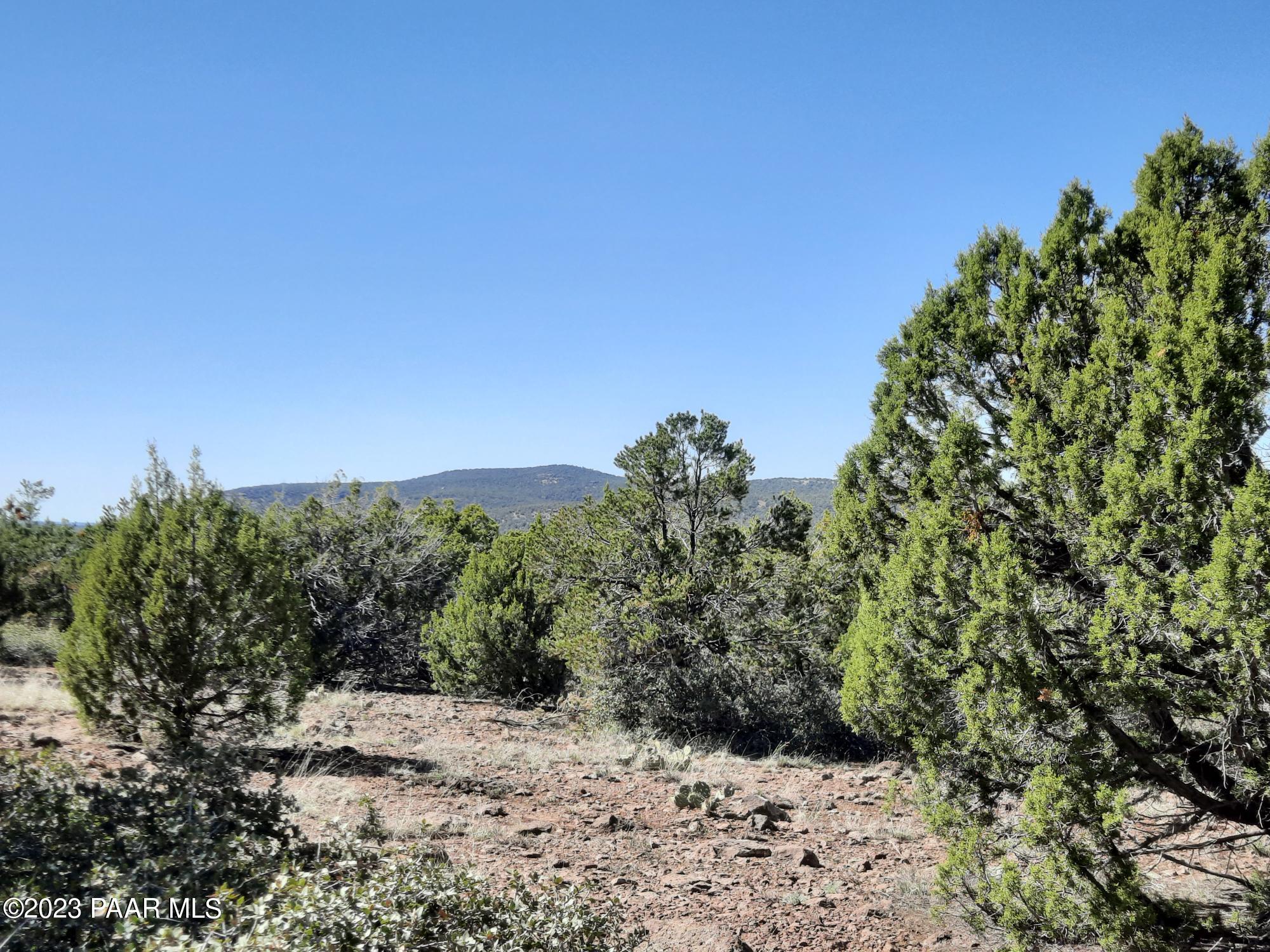 Lot 478 North Edge Ridge Road Seligman, AZ 86337 - Photo 10 of 11 20230426_151122