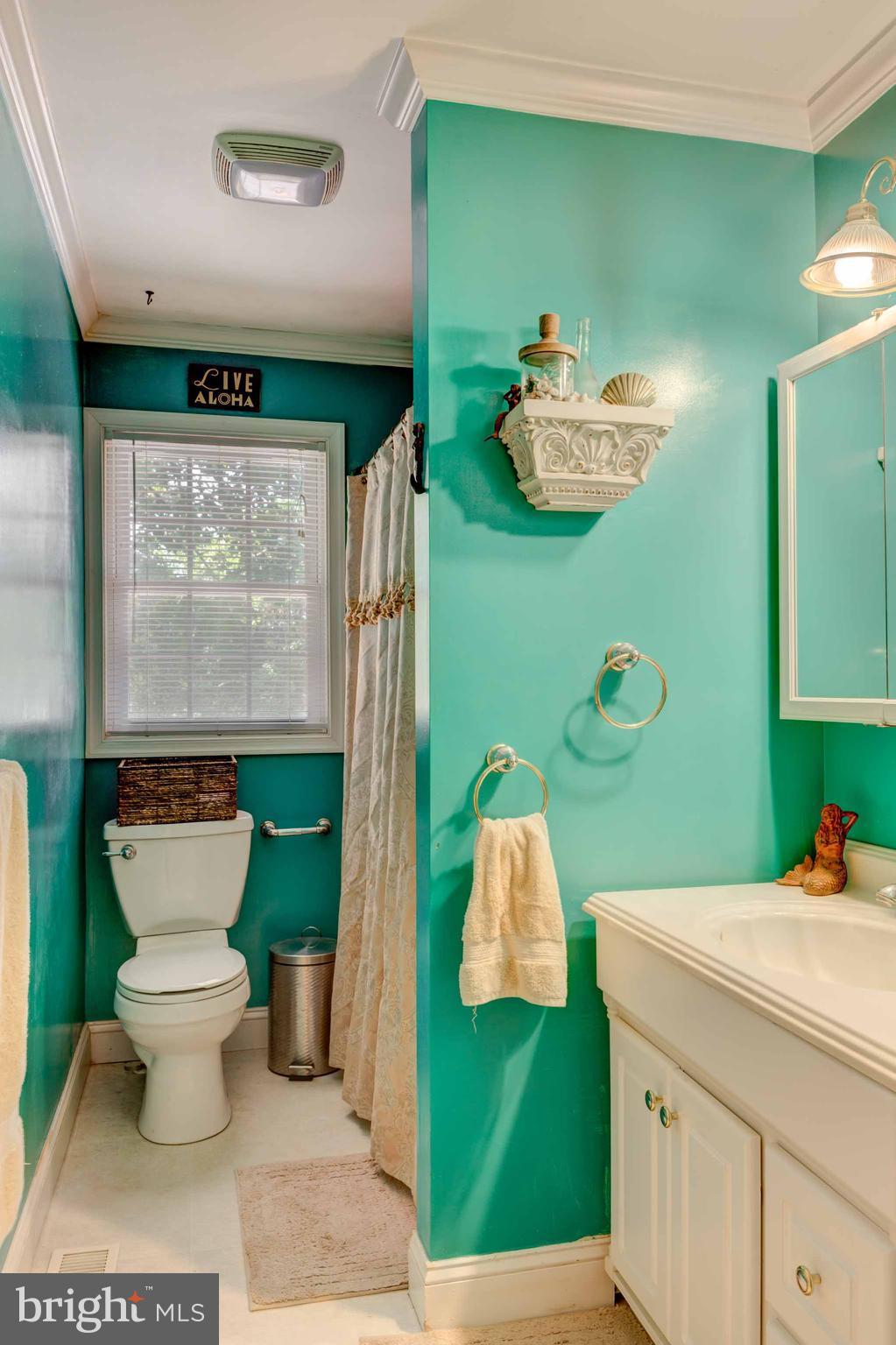 711 Rolling Ridge Drive Westminster, MD 21157 - Photo 8 of 29 Bath Upstairs. + rough in in the basement for bath
