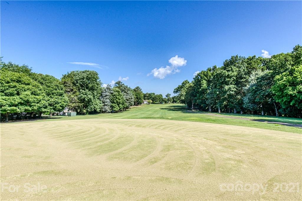 23055 Point Clear Drive, Unit 5 Tega Cay, SC 29708 - Photo 37 of 45 a view of a big yard with an outdoor space