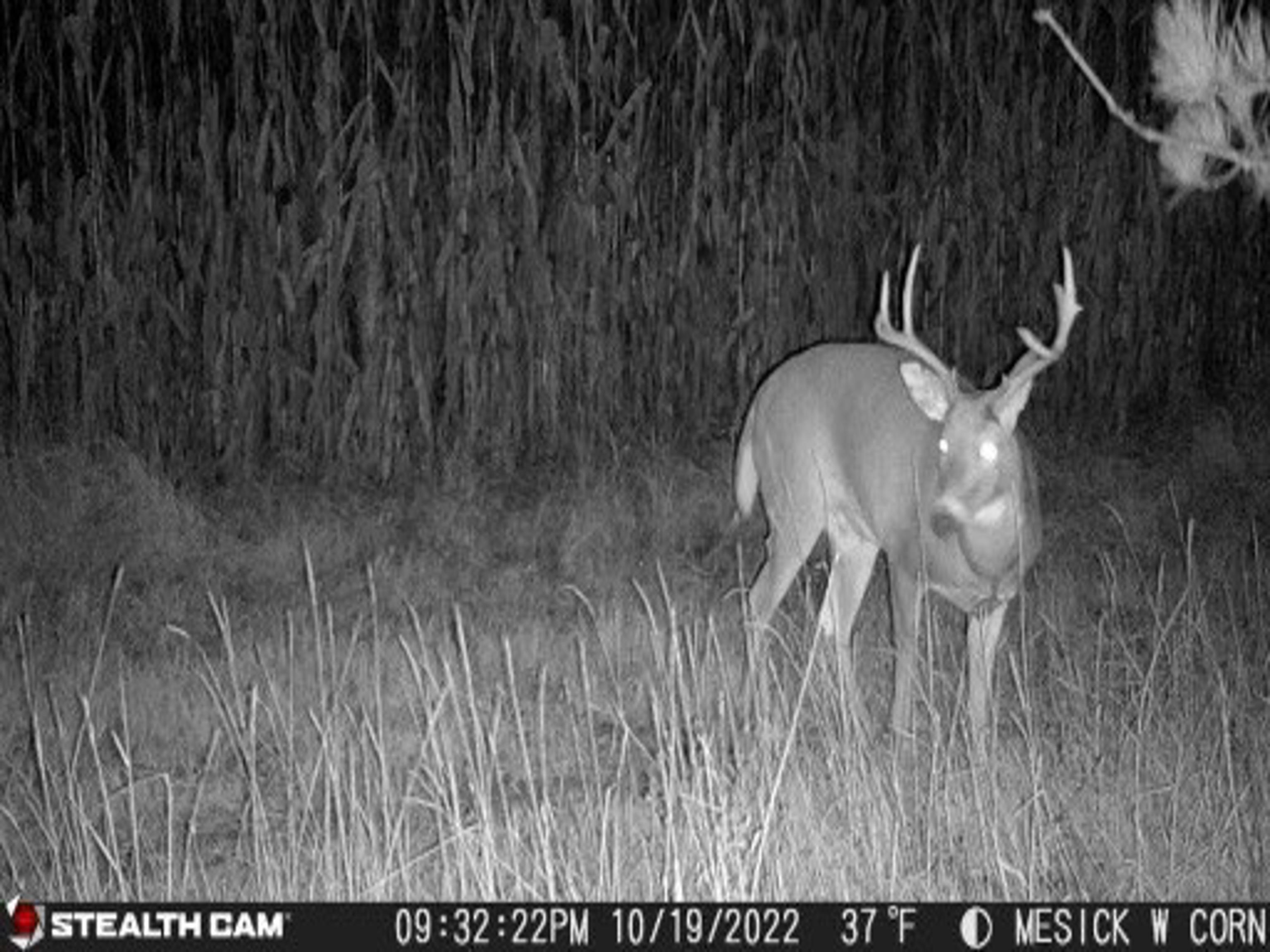 0 West 14th Road Mesick, MI 49668 - Photo 2 of 25 1908631-1.JPG