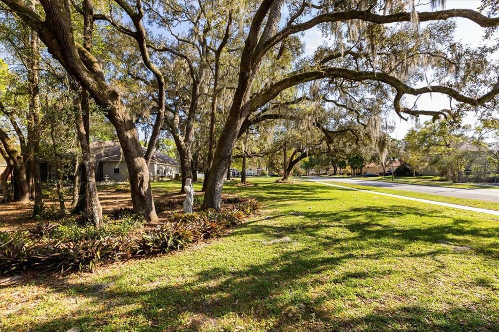 597 Sand Wedge Loop Apopka, FL 32712 - Photo 6 of 71