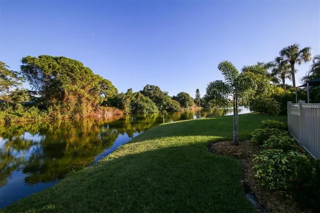 a view of a park with large trees