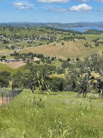 a view of a garden with an ocean