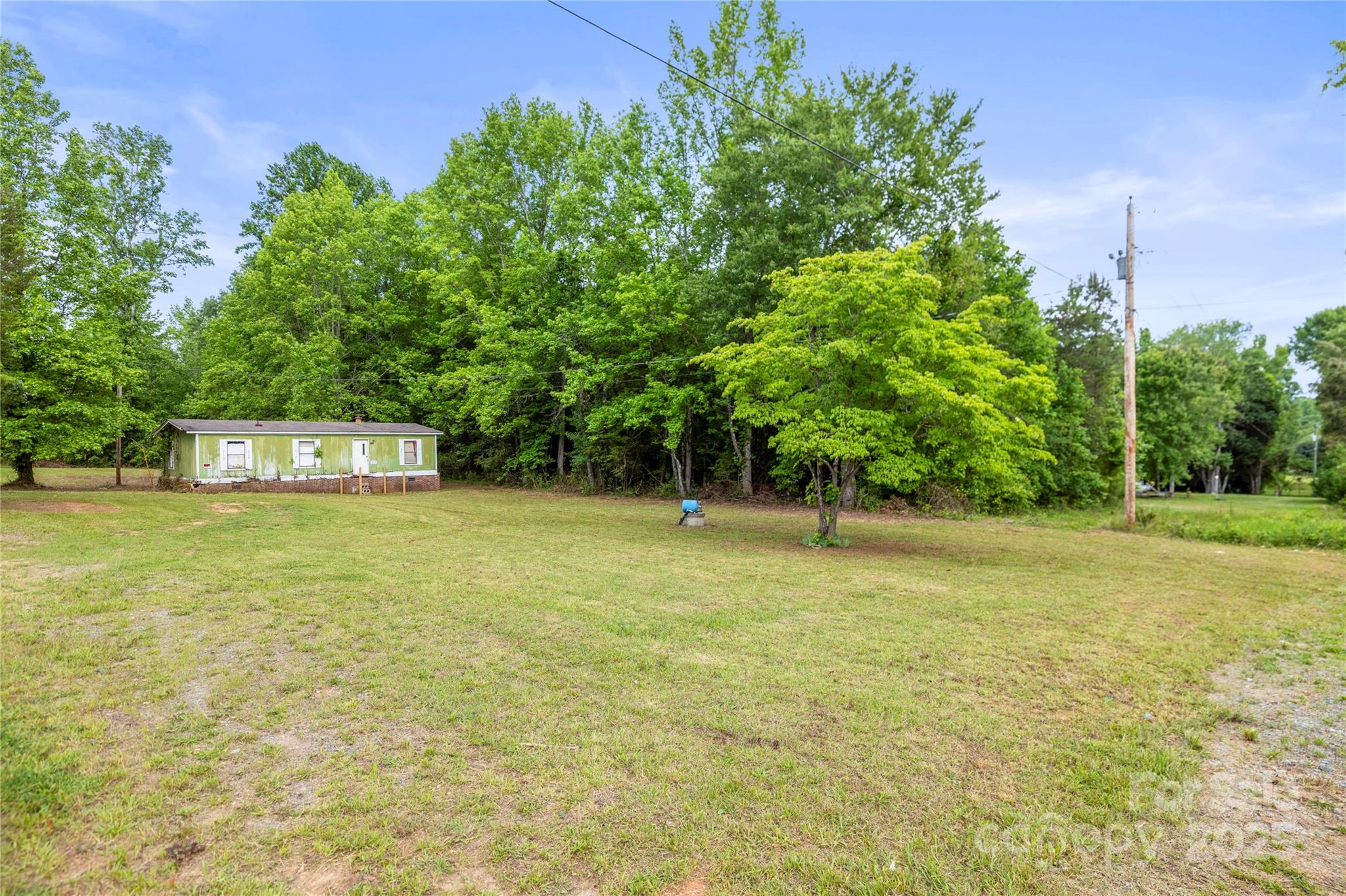 a view of a trees with a trees