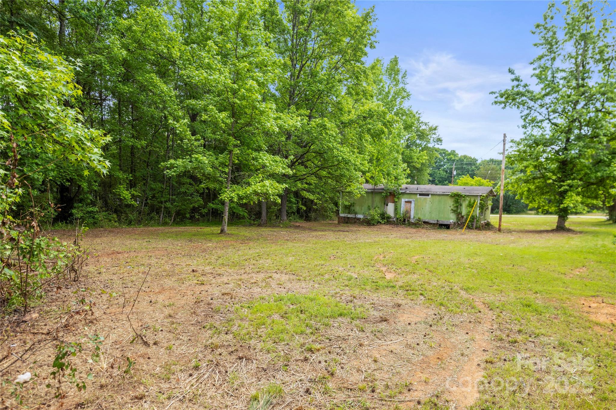 1317 Requa Road Cherryville, NC 28021 - Photo 11 of 14 a view of a yard with a large trees