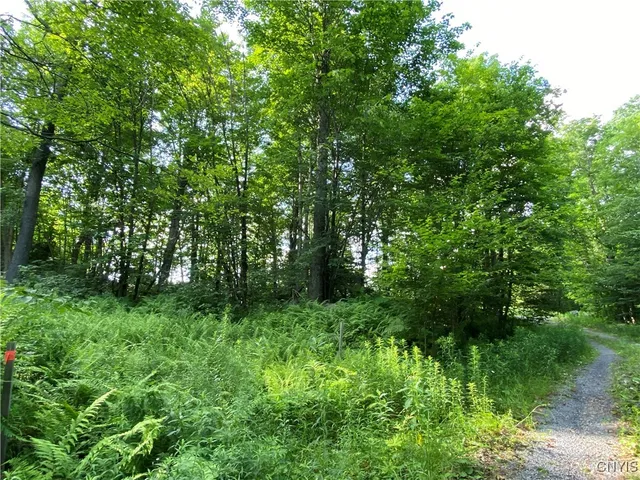 $79,900 | 1517 Highway 28, Webb, NY 13472