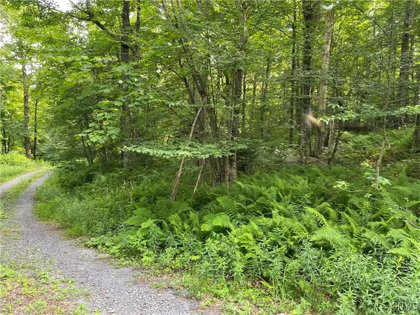 $67,500 | 1517 Highway 28, Webb, NY 13472