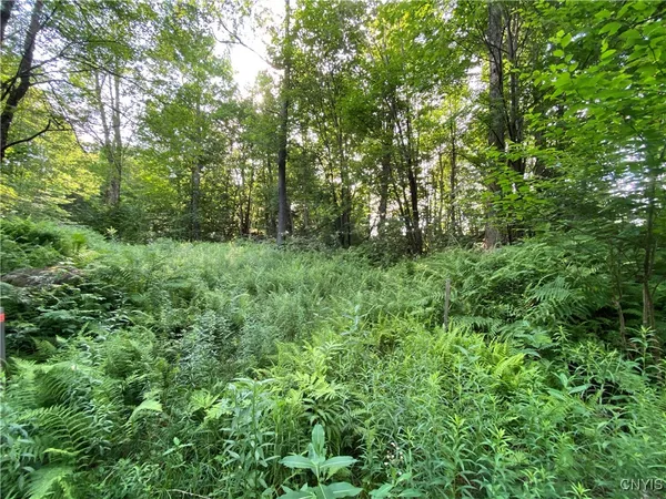 $67,500 | 1517 Highway 28, Webb, NY 13472