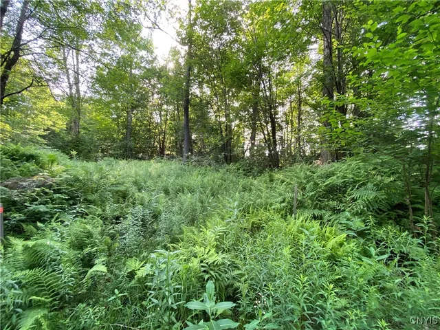 $79,900 | 1517 Highway 28, Webb, NY 13472