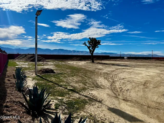 a view of a backyard with plants