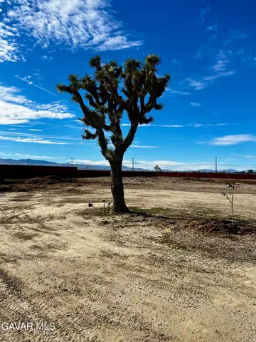 $250,000 | 171 Ste Vic Ave Q2, Palmdale, CA 93591