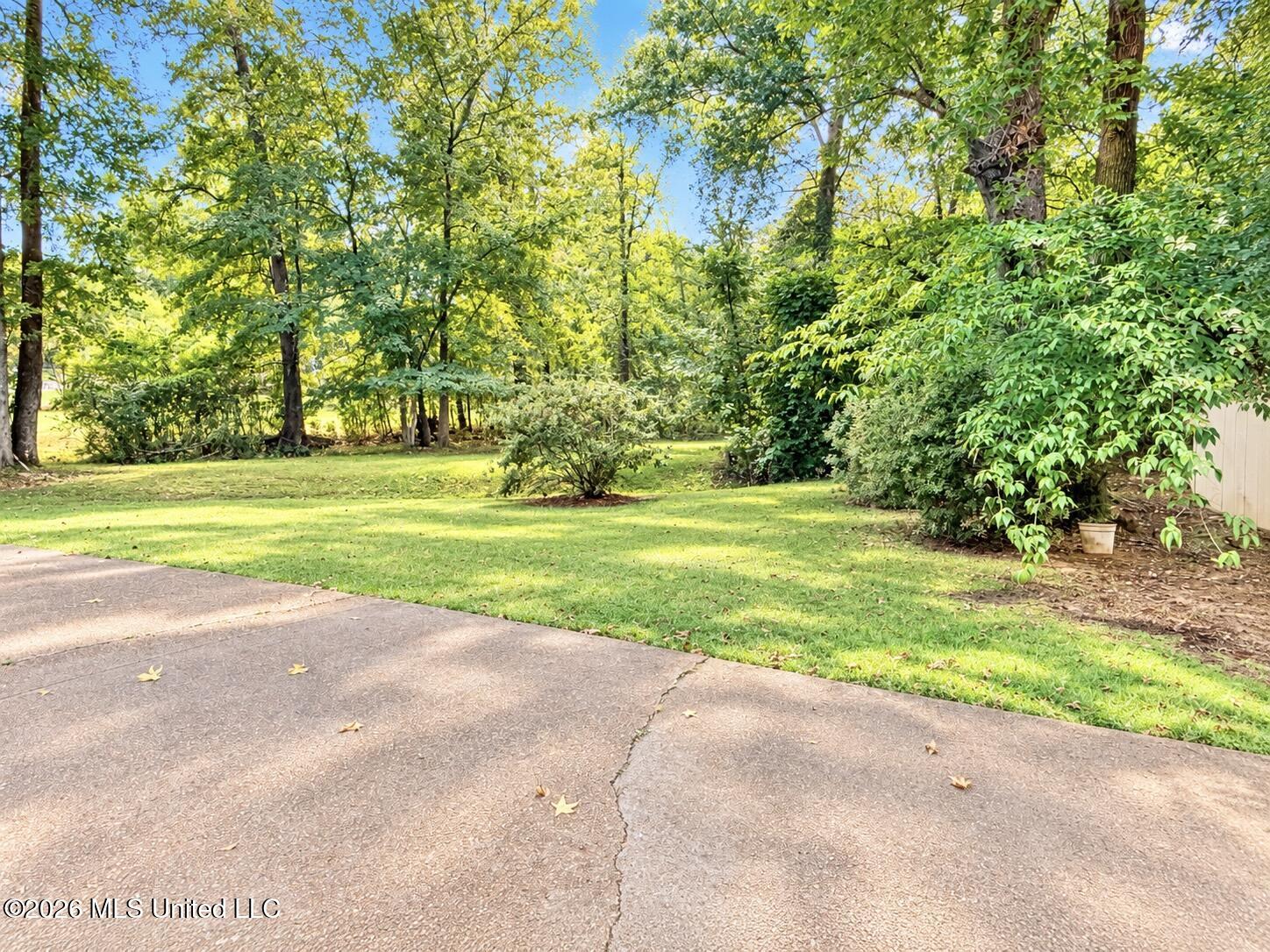 304 Pebblecreek Road Grenada, MS 38901 - Photo 38 of 38 Yard