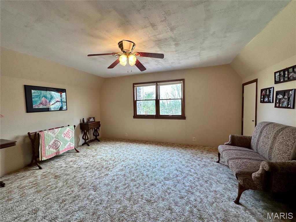 15716 County Road 5190 Rolla, MO 65401 - Photo 39 of 70