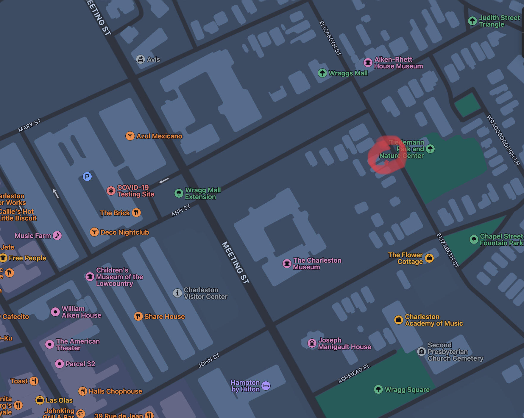 43 Elizabeth Street Charleston, SC 29403 - Photo 28 of 30 IMG_1105