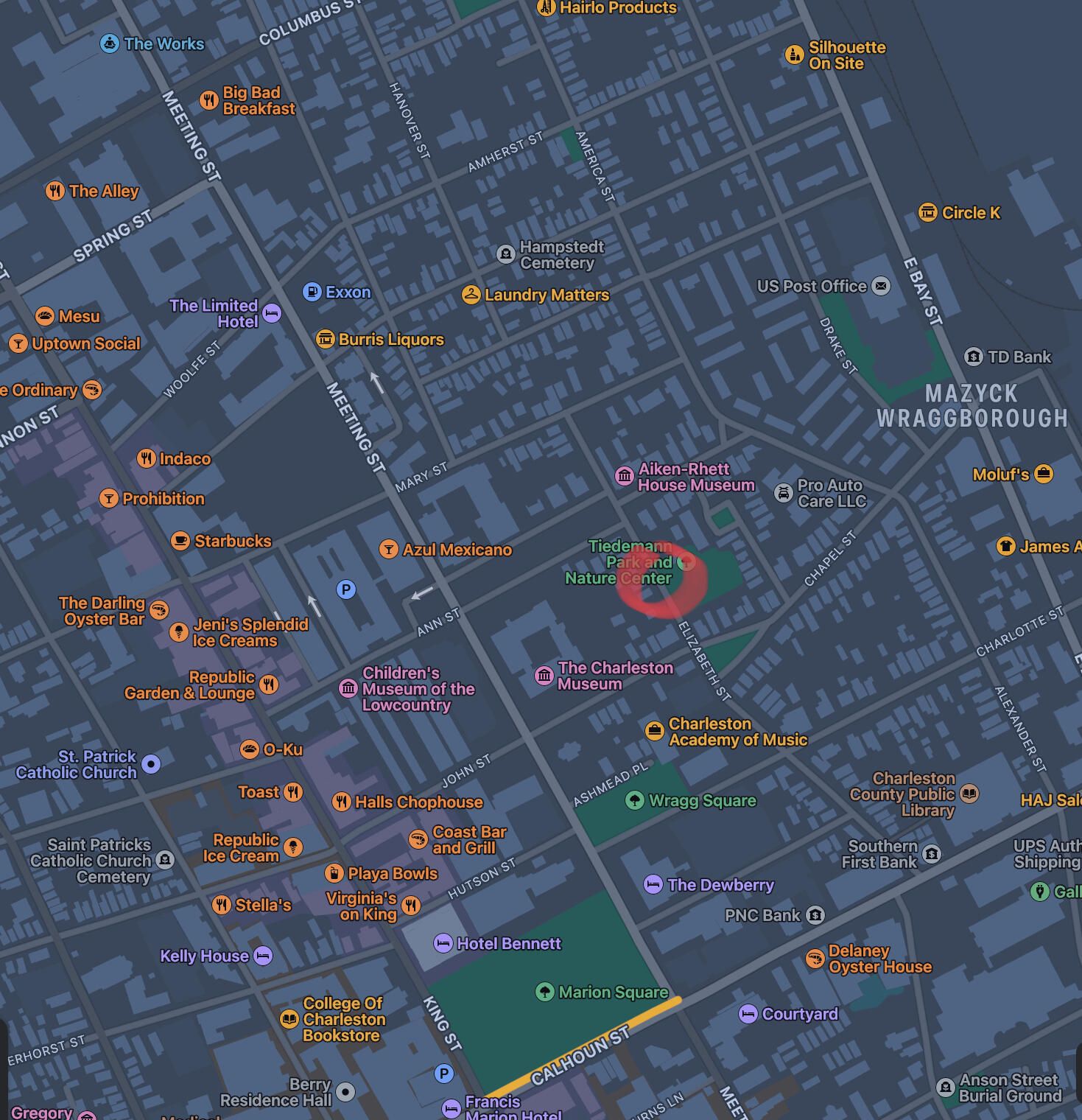 43 Elizabeth Street Charleston, SC 29403 - Photo 29 of 30 IMG_1104