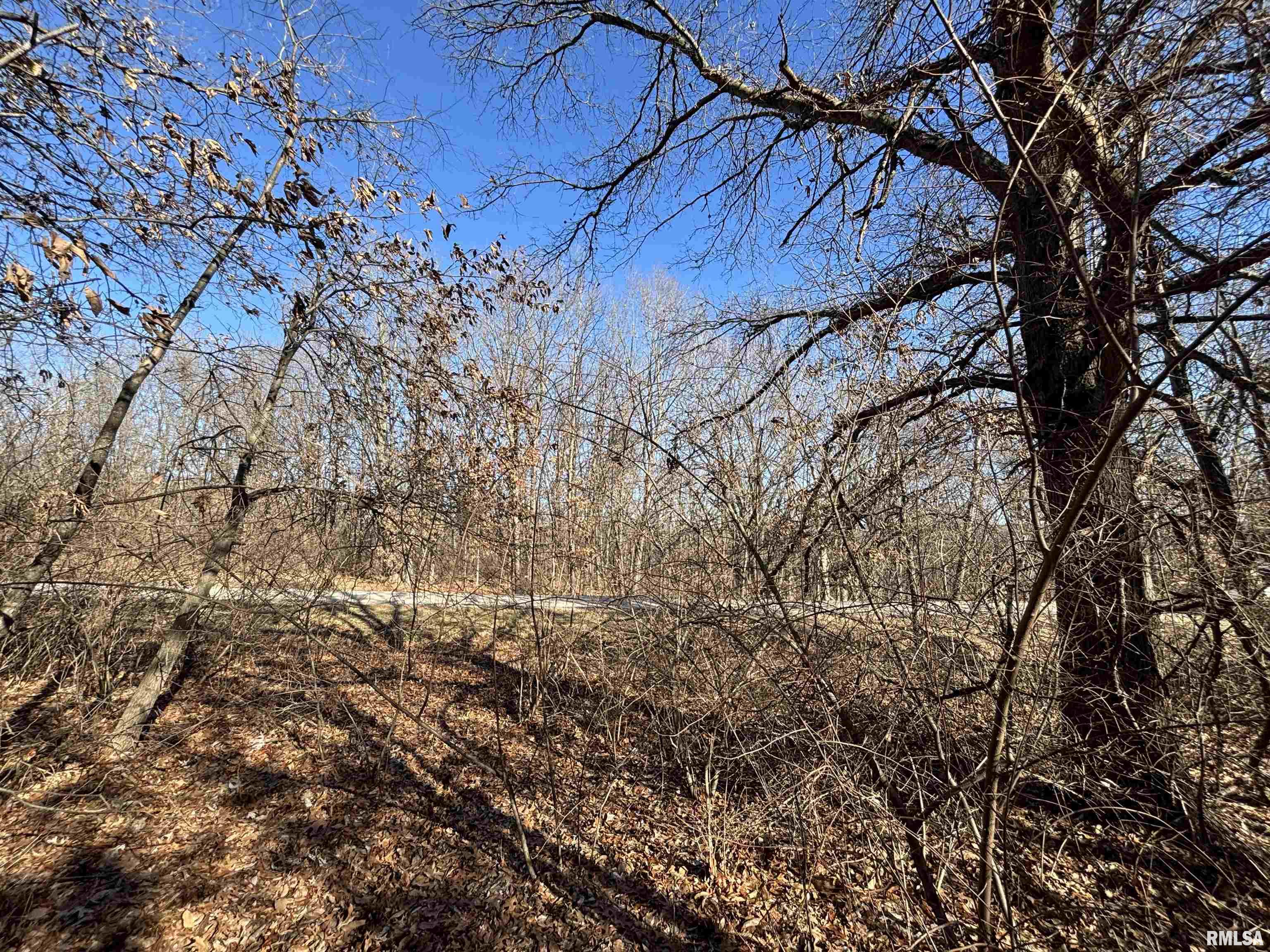 152 Timberline Place Dahinda, IL 61428 - Photo 4 of 19