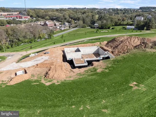 a view of a lush green space