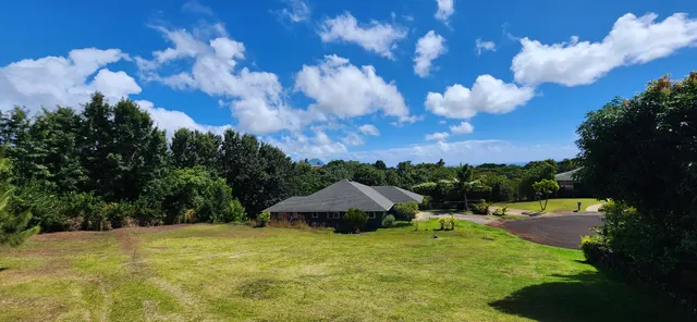 a view of a lake in middle of the forest