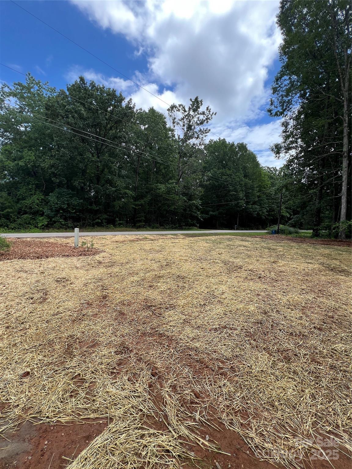 1987 Robert Rufty Lane Catawba, NC 28609 - Photo 34 of 39