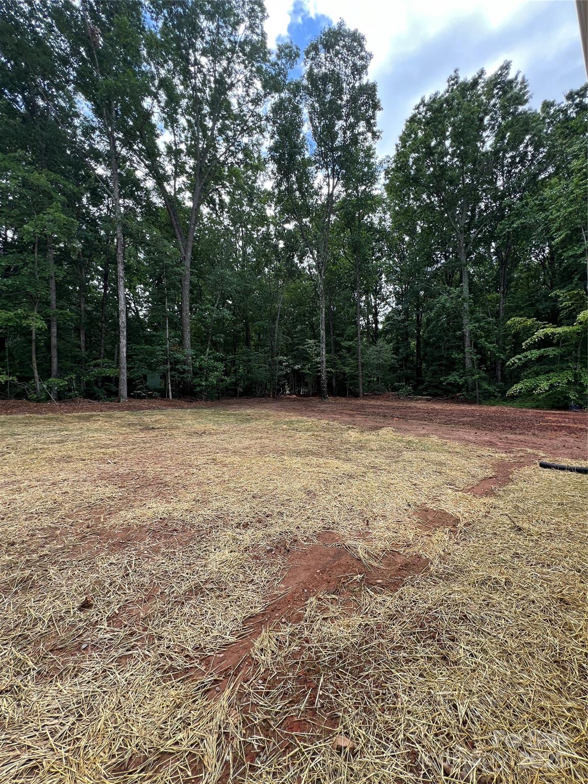 1987 Robert Rufty Lane Catawba, NC 28609 - Photo 36 of 39