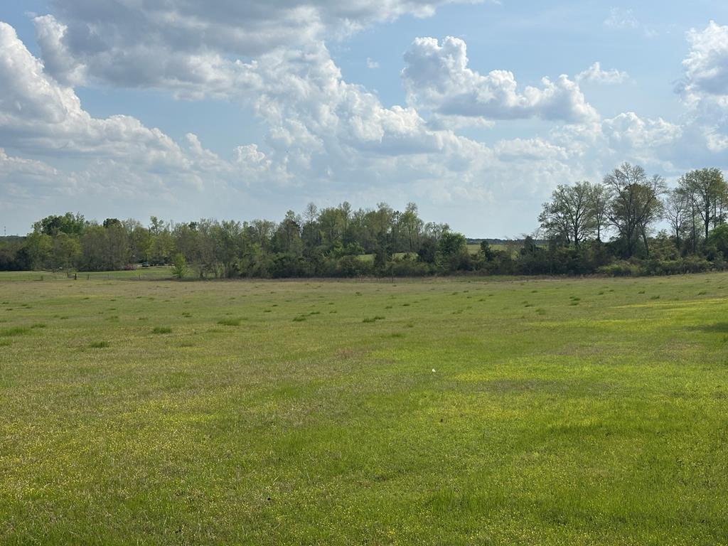 0 Hayes Road Mauk, GA 31058 - Photo 8 of 14 Gallery Image 8