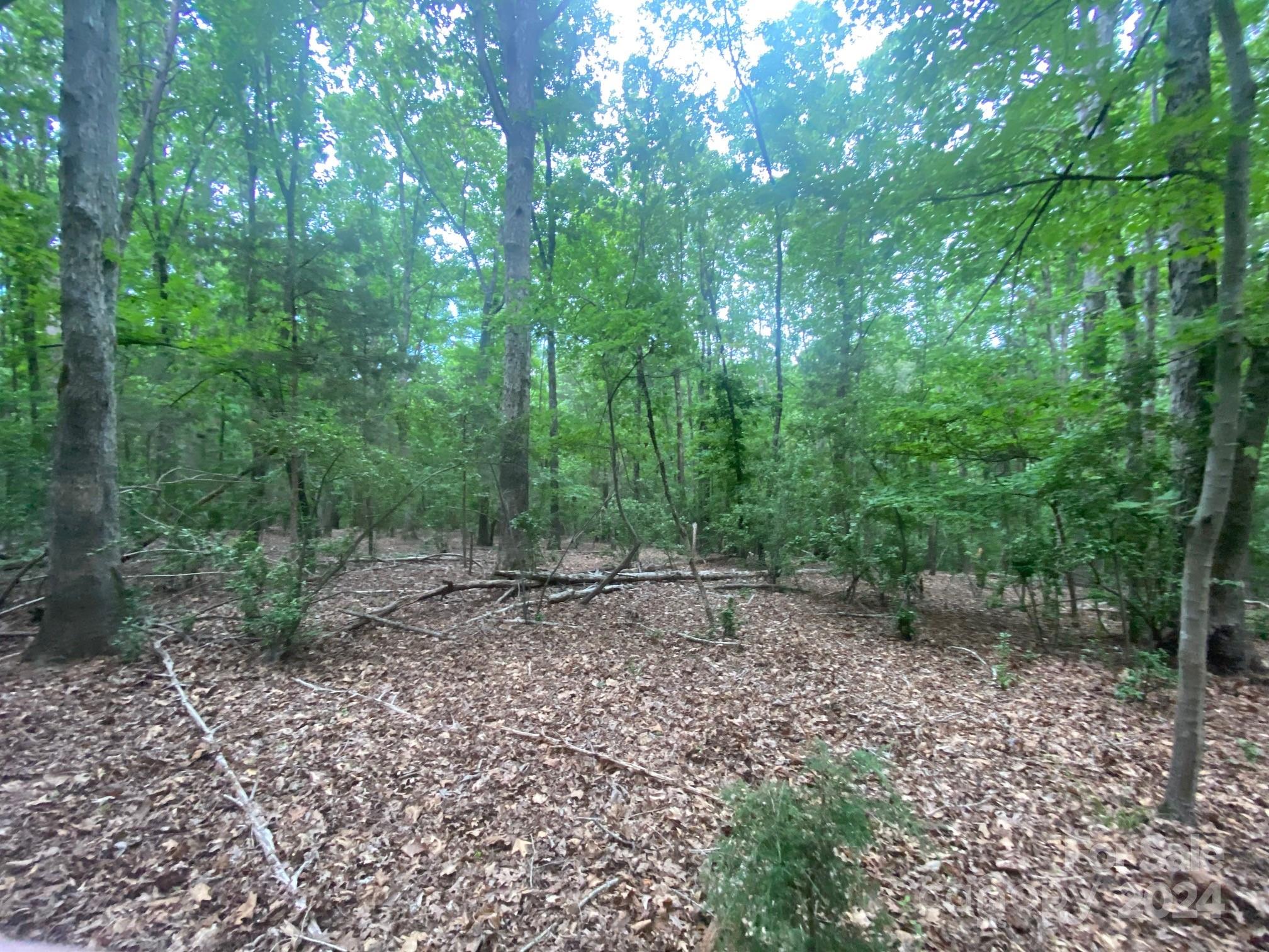 10601 Wildlife Road Charlotte, NC 28278 - Photo 30 of 31 a view of a forest with trees in the background