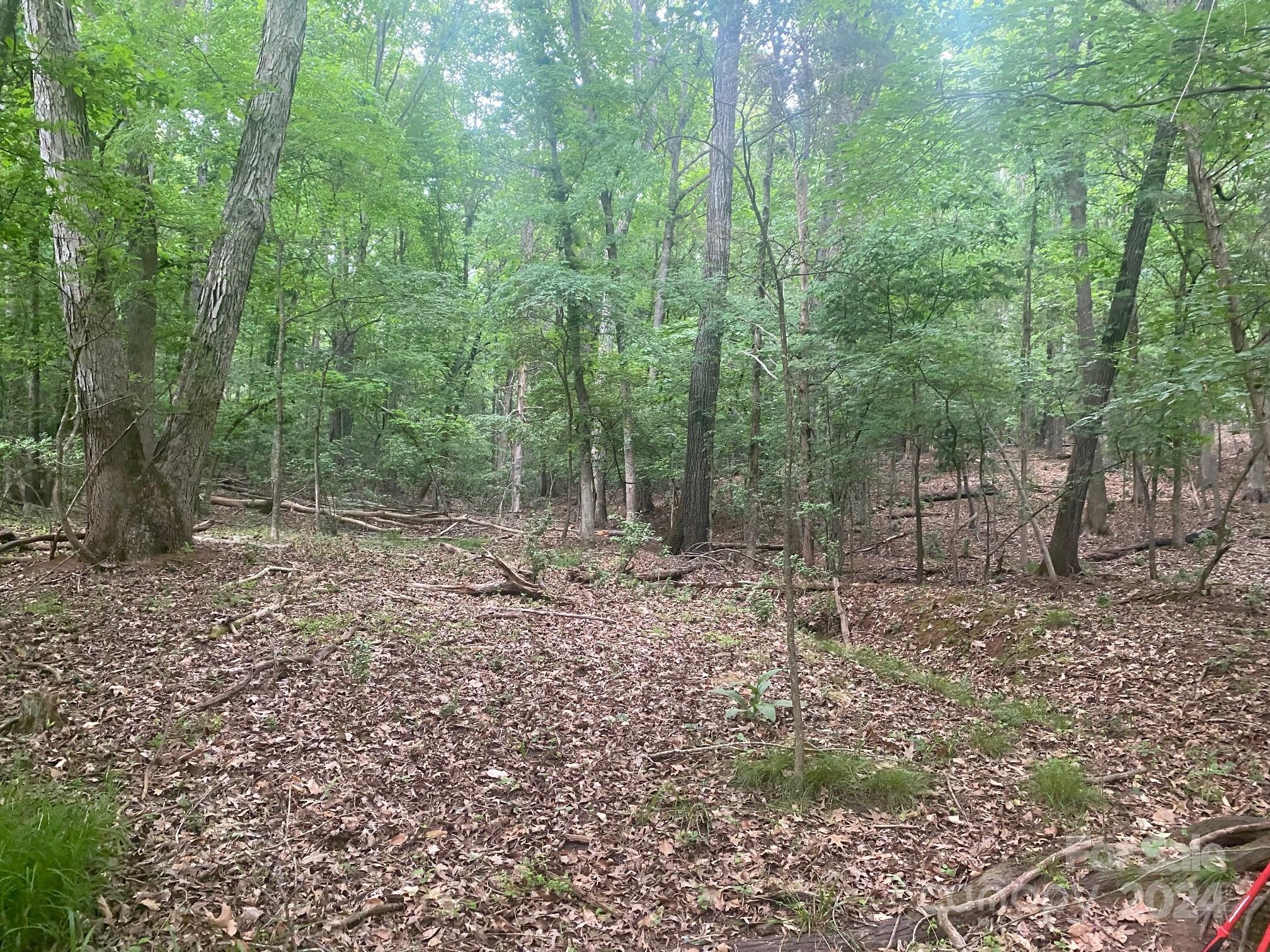 10601 Wildlife Road Charlotte, NC 28278 - Photo 31 of 31 a view of a forest with trees in the background