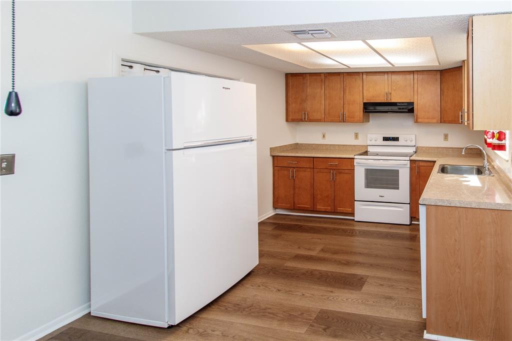 8836 Huntsman Lane Port Richey, FL 34668 - Photo 8 of 42