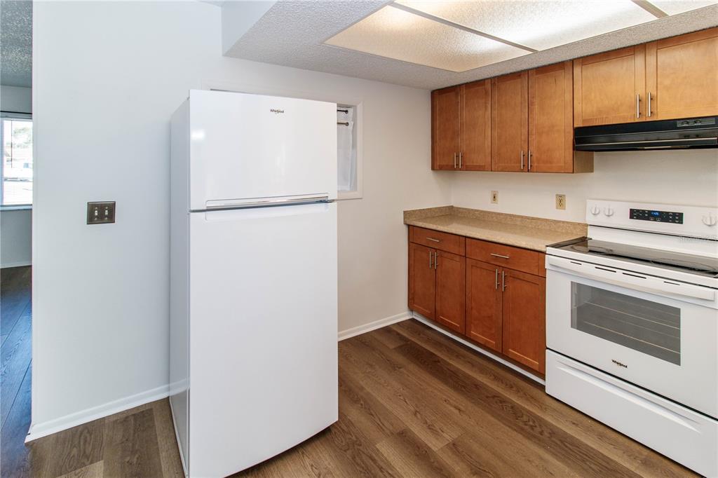 8836 Huntsman Lane Port Richey, FL 34668 - Photo 9 of 42