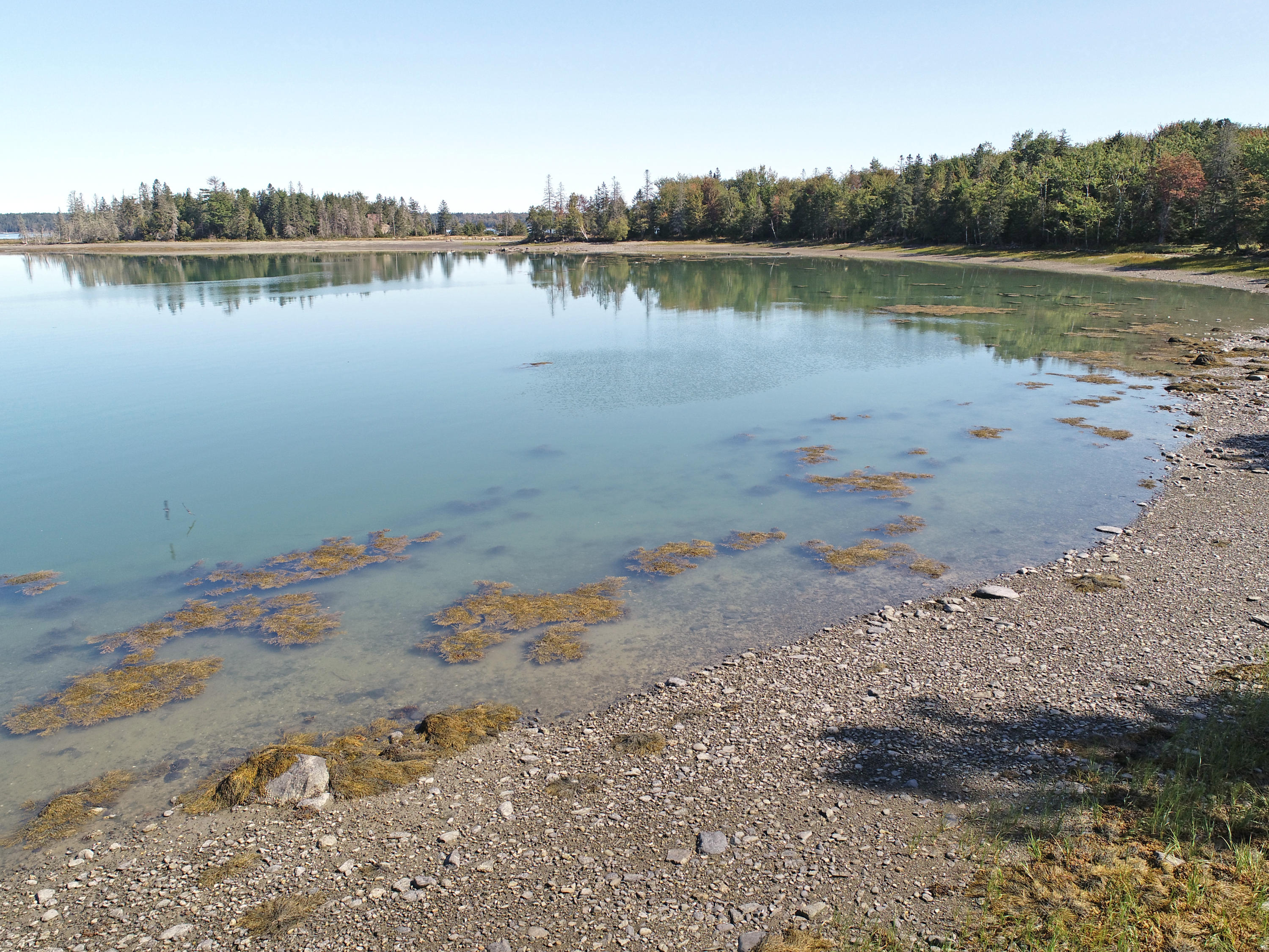108 Bay Road Lamoine, ME 04605 - Photo 28 of 48 shore 2