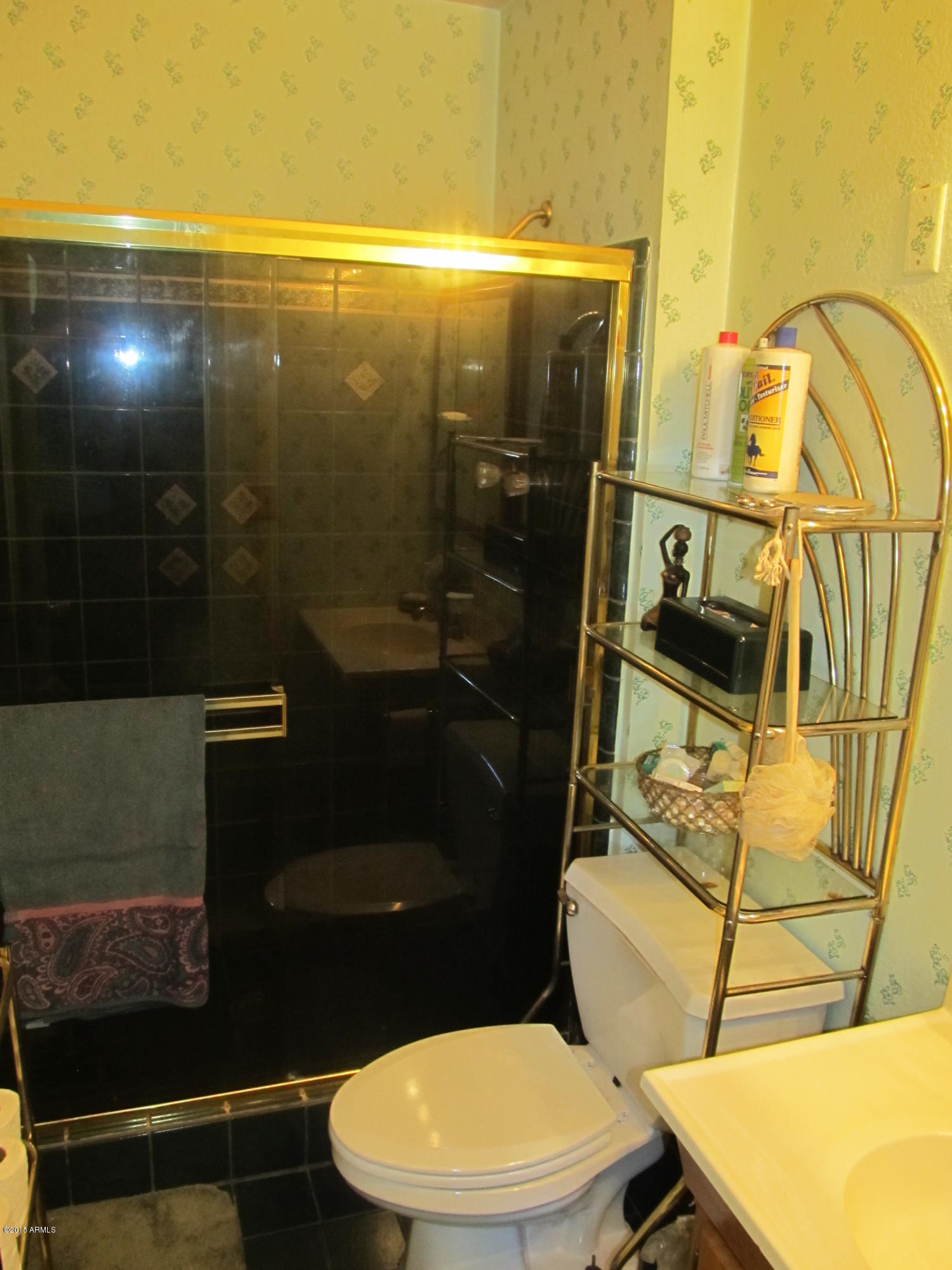 1601 West Carson Road Phoenix, AZ 85041 - Photo 13 of 20 Owner's Bath 2