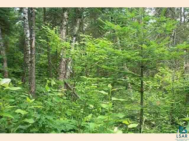 - National Forest Road Side Lake, MN 55781 - Photo 2 of 5