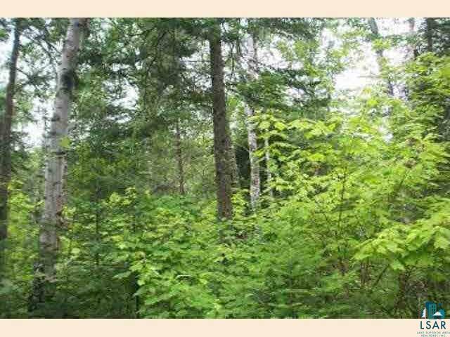 - National Forest Road Side Lake, MN 55781 - Photo 3 of 5