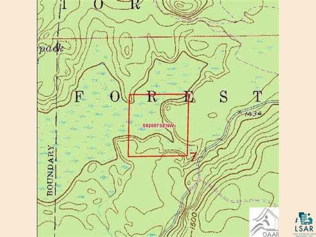 - National Forest Road Side Lake, MN 55781 - Photo 5 of 5