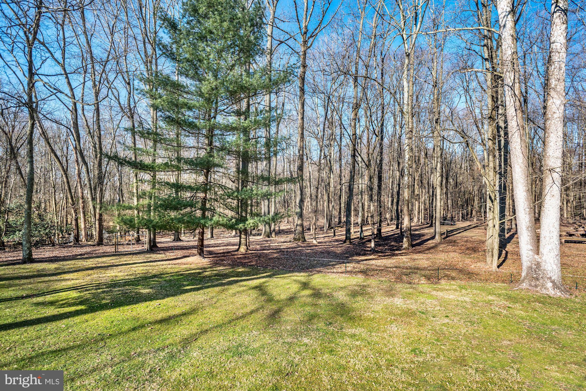 68 Little Mill Road Laurel Springs, NJ 08021 - Photo 43 of 53 Yard