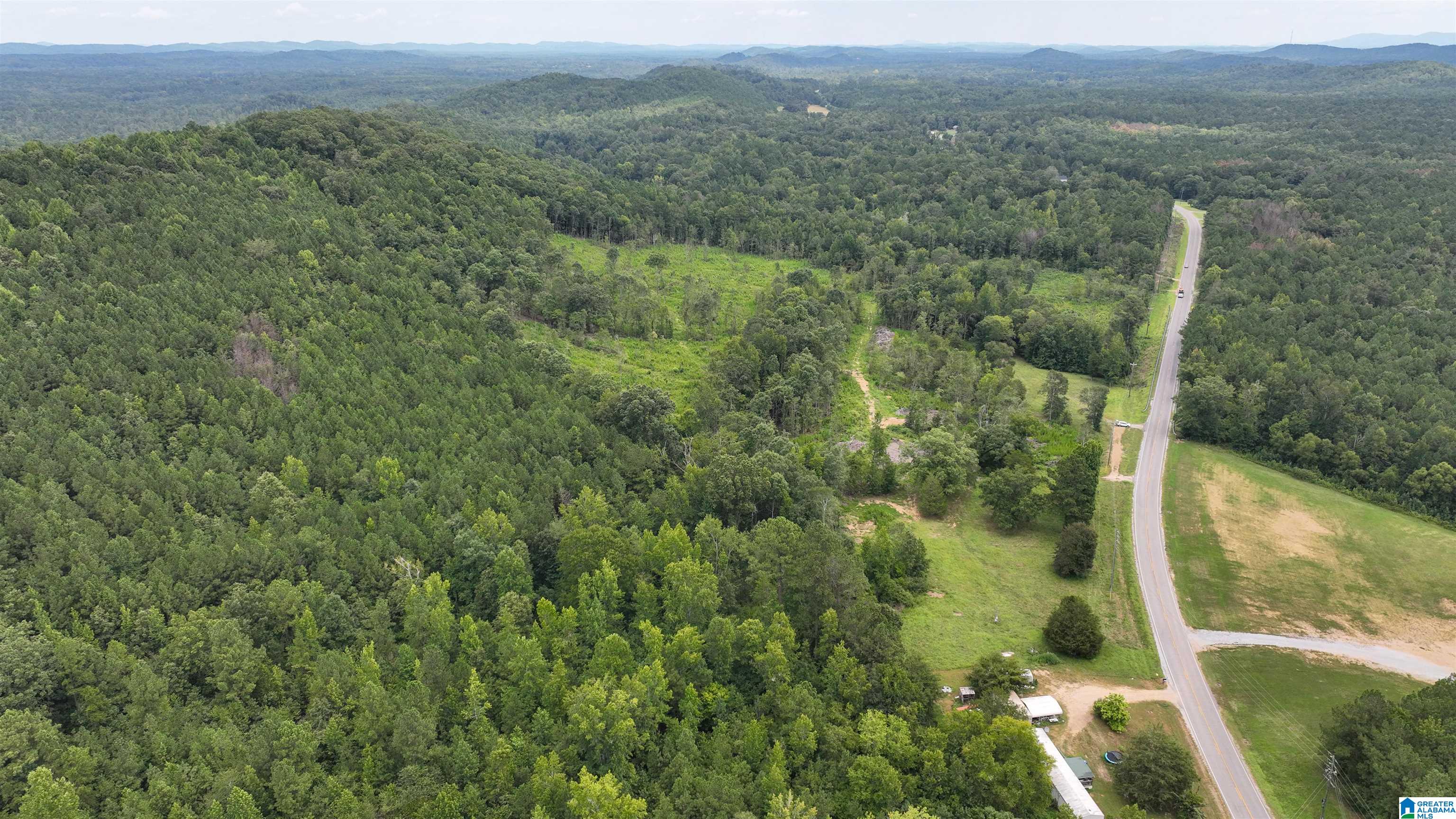 0 Boiling Springs Road Ohatchee, AL 36271 - Photo 8 of 8