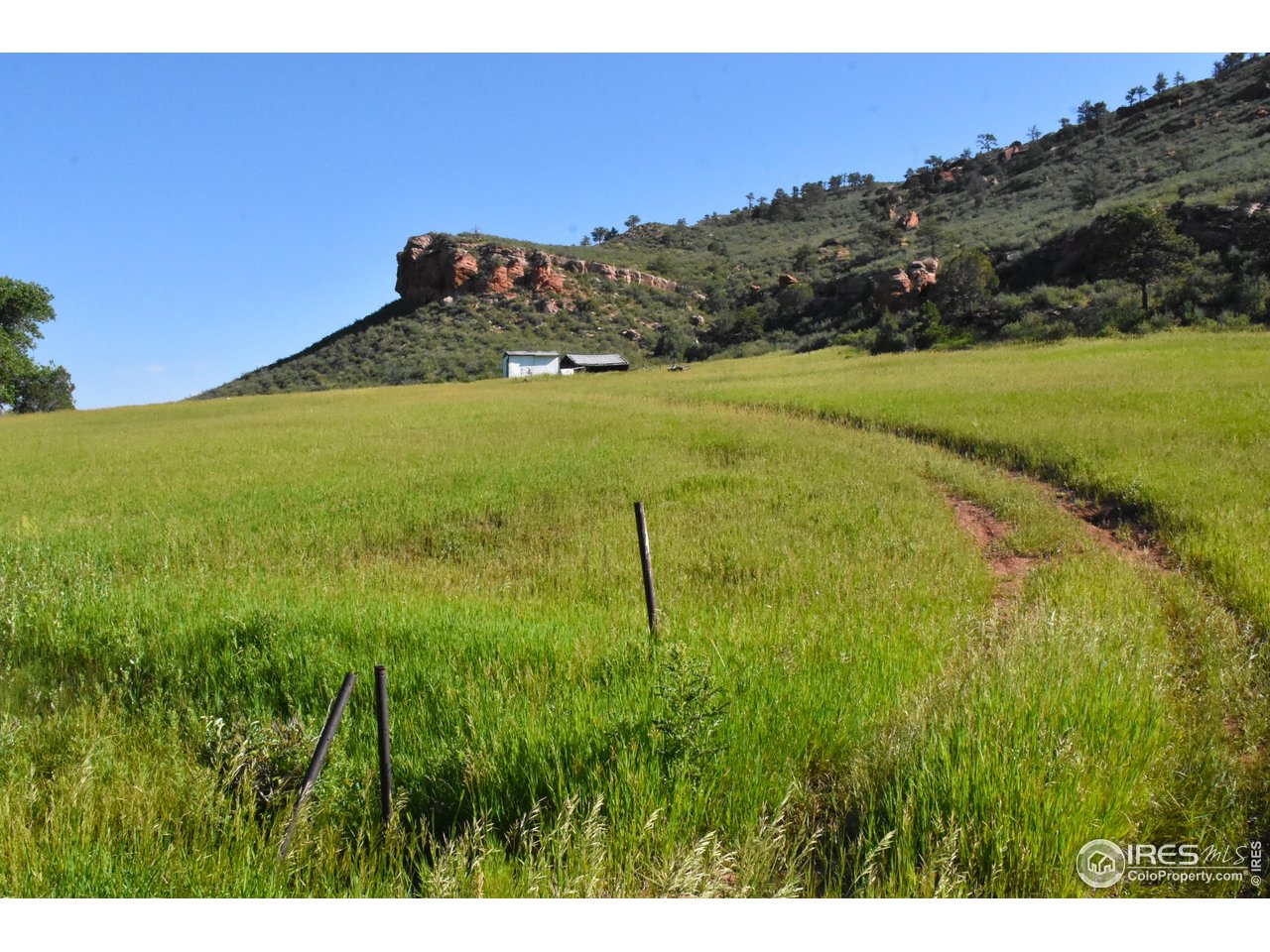 1364 Redbluff Road Livermore, CO 80536 - Photo 4 of 26