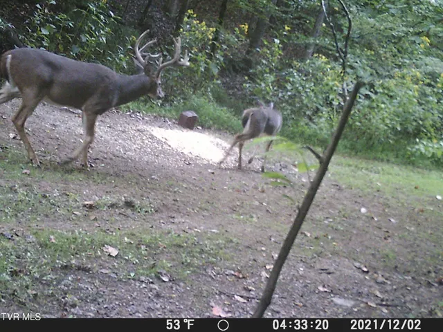 $378,000 | 5367 Clinch River Highway, Gate City, VA 24251