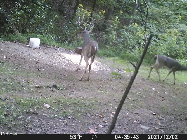 $378,000 | 5367 Clinch River Highway, Gate City, VA 24251