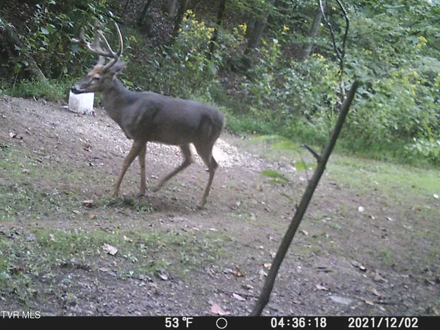 $378,000 | 5367 Clinch River Highway, Gate City, VA 24251