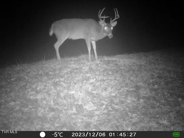 $378,000 | 5367 Clinch River Highway, Gate City, VA 24251