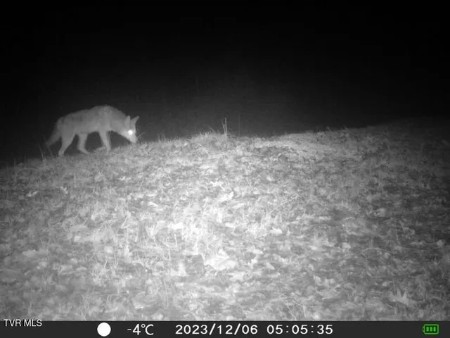 $378,000 | 5367 Clinch River Highway, Gate City, VA 24251